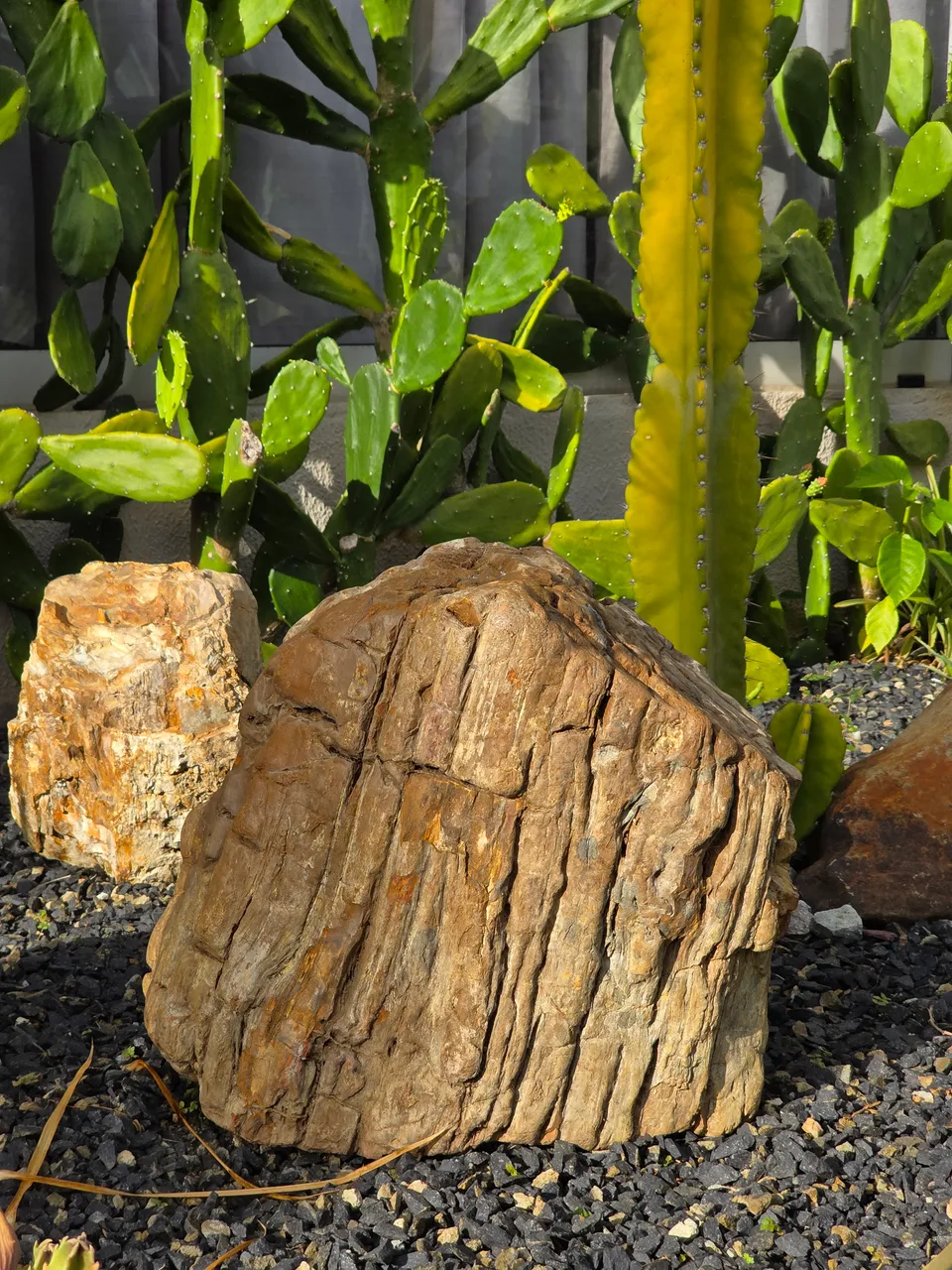 Árbol petrificado