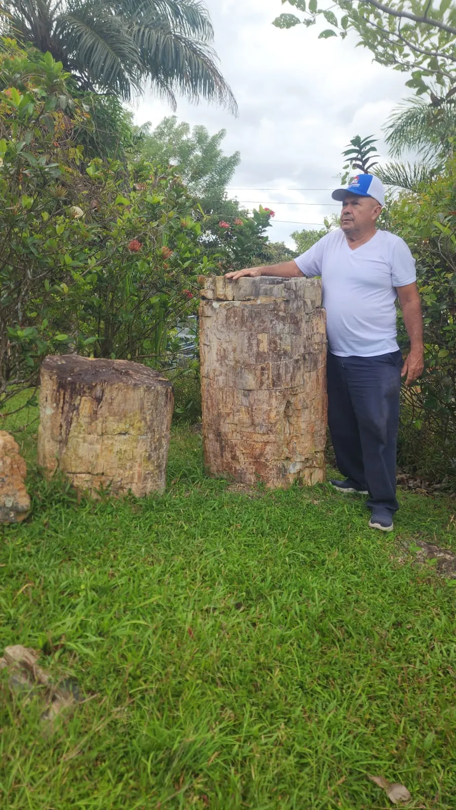 Columna fósil