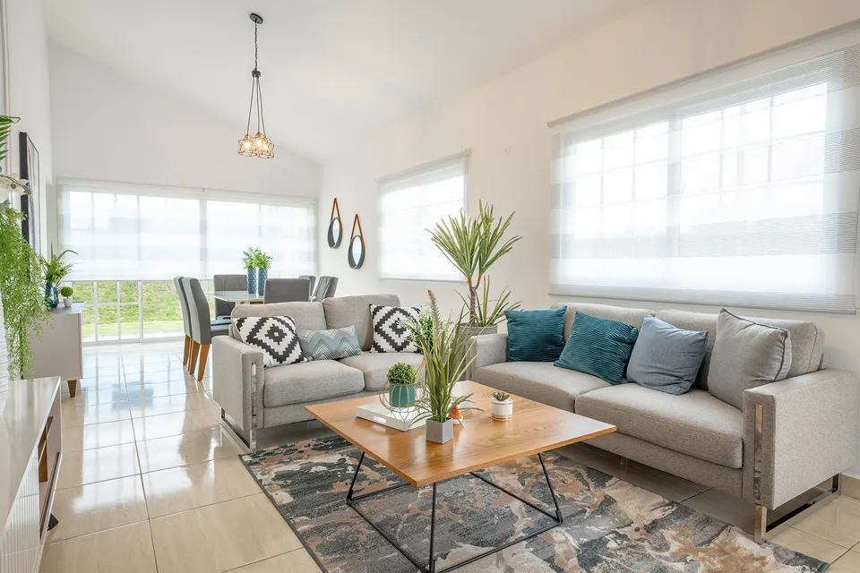 Living and dining